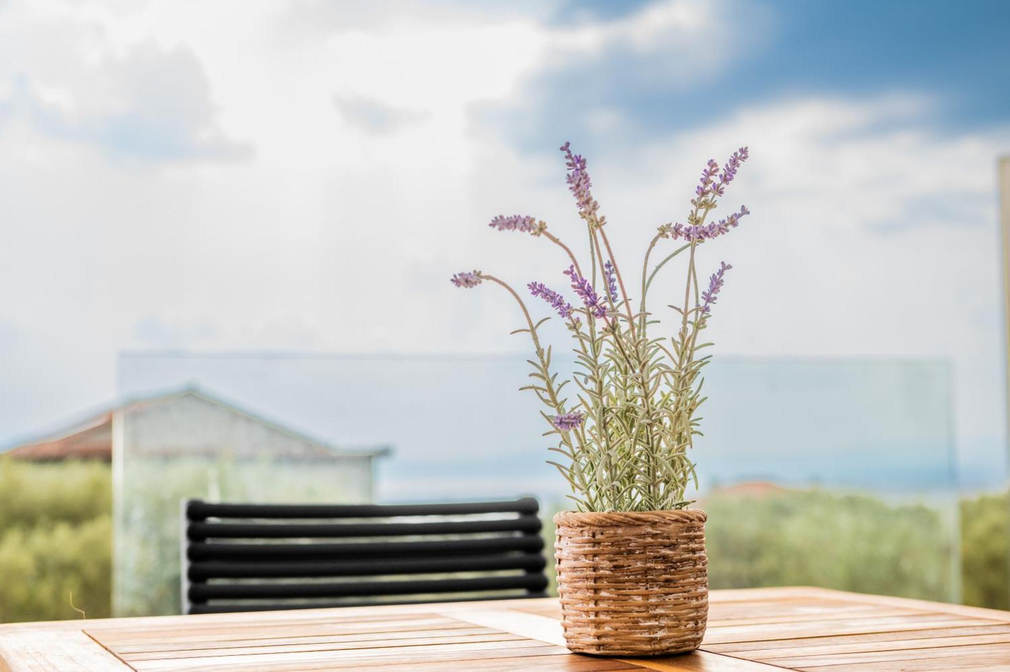 Petradi Suites Kalamata Exteriör bild